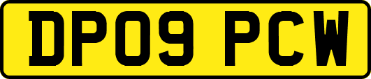 DP09PCW