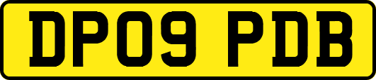 DP09PDB