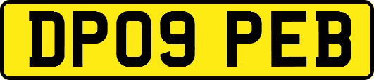 DP09PEB