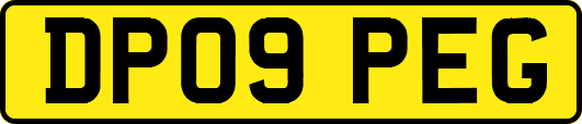 DP09PEG