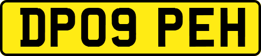 DP09PEH