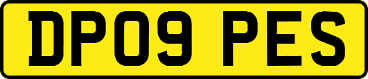 DP09PES