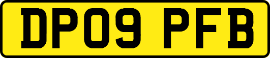 DP09PFB