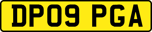 DP09PGA