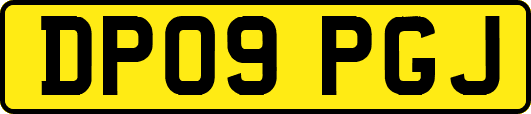DP09PGJ