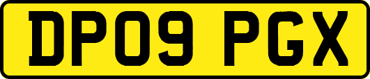 DP09PGX