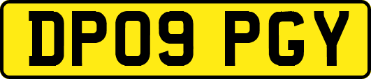 DP09PGY