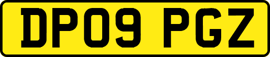 DP09PGZ
