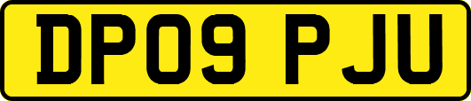 DP09PJU