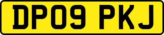 DP09PKJ