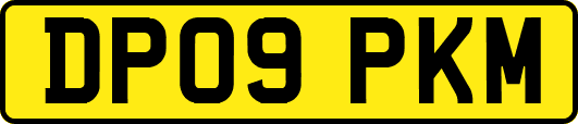 DP09PKM