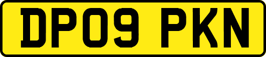 DP09PKN