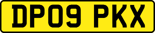 DP09PKX