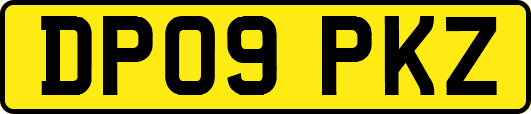 DP09PKZ