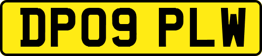DP09PLW