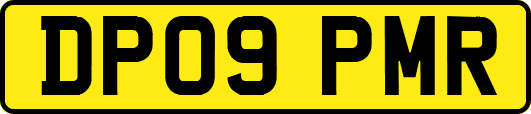 DP09PMR