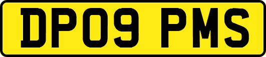 DP09PMS