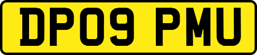 DP09PMU