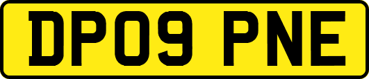 DP09PNE