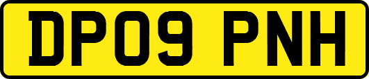 DP09PNH