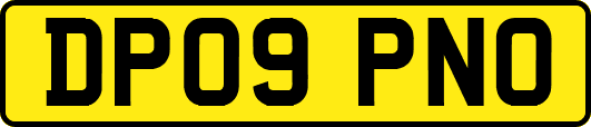 DP09PNO
