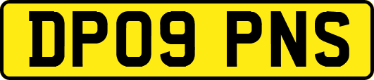 DP09PNS
