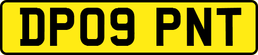 DP09PNT