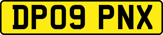 DP09PNX