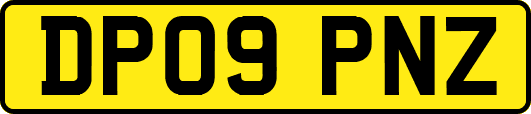 DP09PNZ