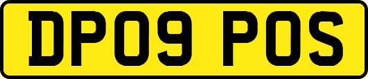 DP09POS