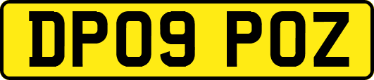 DP09POZ