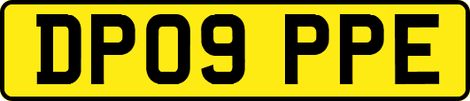 DP09PPE