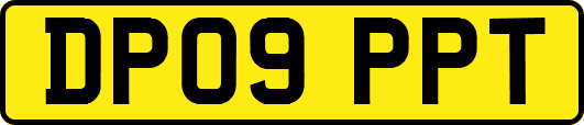 DP09PPT
