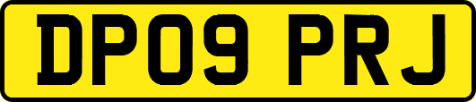 DP09PRJ