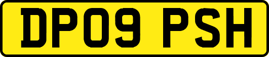 DP09PSH