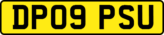 DP09PSU