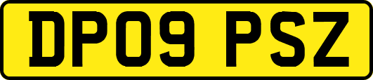DP09PSZ