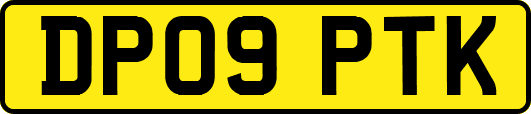 DP09PTK