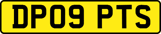 DP09PTS