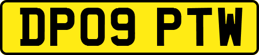 DP09PTW