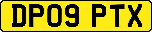 DP09PTX