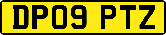 DP09PTZ