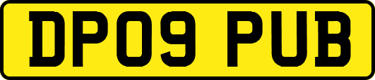 DP09PUB