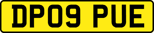 DP09PUE