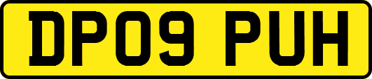 DP09PUH