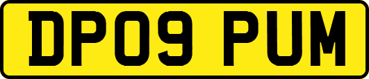 DP09PUM