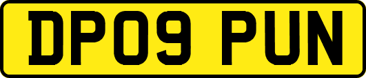 DP09PUN