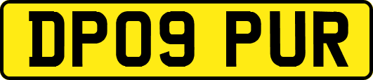 DP09PUR