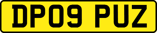DP09PUZ