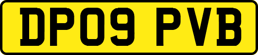 DP09PVB